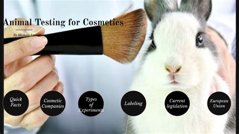 Cosmetic Testing On Animals Facts Here Are 33 Facts Provided By The