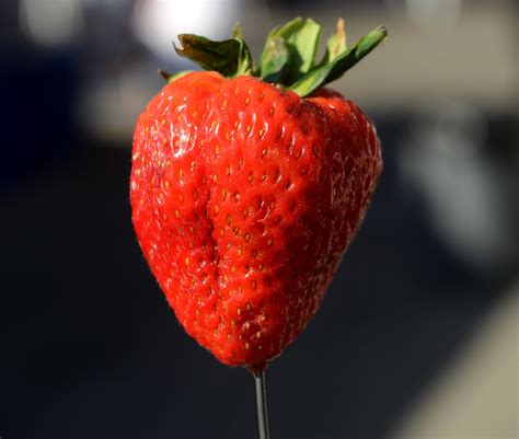 Hundreds line up for the 'world's biggest strawberry shortcake,' a ...
