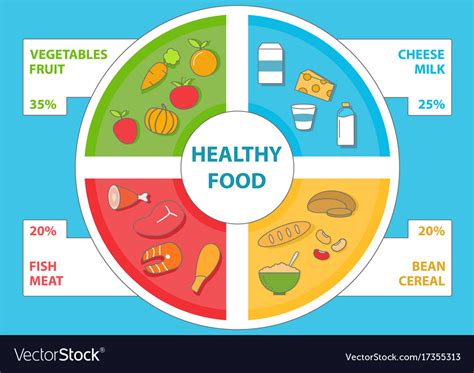 Healthy Food Infographic In Flat Style Set Vector Image