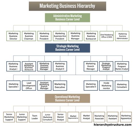 Marketing Business Hierarchy Structure Systems Hierarchy Structure