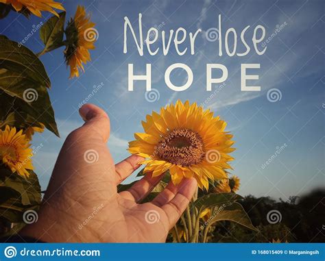 Inspirational Motivational Quote Never Lose Hope With