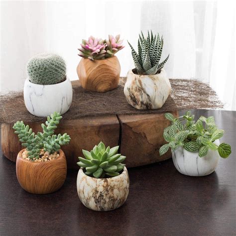 25 Inch Succulent Garden Pot With Bamboo Tray Small Ceramic Etsy