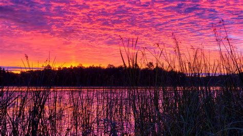 Download Wallpaper 1280x720 Lake Reed Sunset Purple