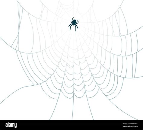 Spider Vector Vectors Hi Res Stock Photography And Images Alamy