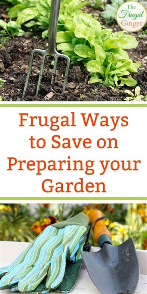 Start A Garden On A Budget Frugal Ideas To Try Now