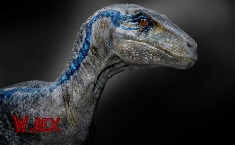 Jurassic World Blue Velociraptor Concept Art Jurassic