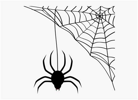 Spider clipart spider line, Spider spider line Transparent FREE for download on WebStockReview 2021