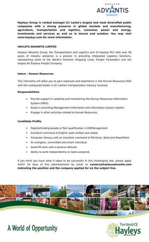 Through the asset management program, you'll be either a client or product analyst. Intern (Human Resources) 2020