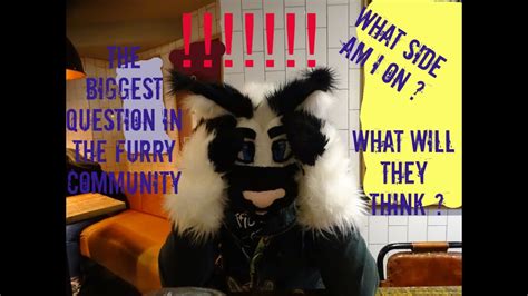 the biggest question and most important in the furry community youtube