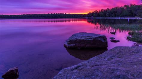Beautiful Purple Scenery View With Reflection Of Trees On Water 4k Hd