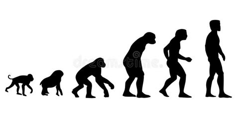Evolutiontheory Of Evolution Of Man Vector Illustrationhuman E Stock