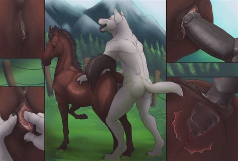 Horse Fucked By Dog Anthro Furs Luscious Hentai Manga And Porn