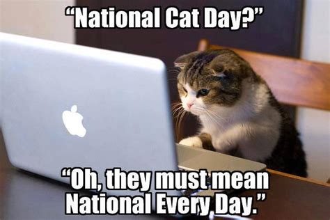 According to pfma.org.uk in the uk alone there are. National Cat Day 2016