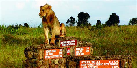 Nairobi National Park Eminent Safaris