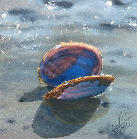Shell — Watercolors By Carol Evans Evans Art Watercolor Painting