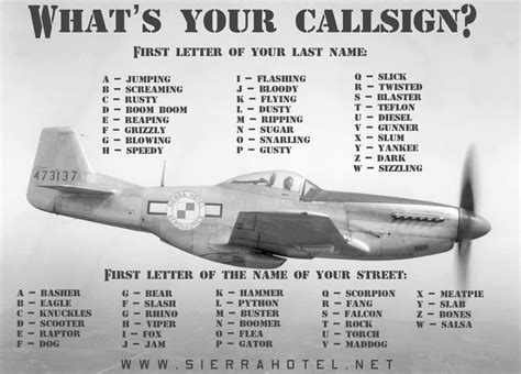 Whats Your Call Sign Aviation P51 Mustang