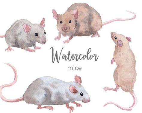 Watercolor Clipart Mouse Clipart Watercolour Clipart Set Commercial Use Png Mice Clip Art