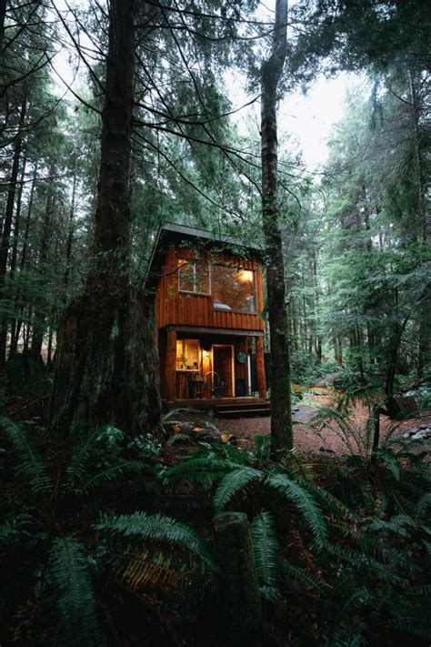 This is the place to start for all types of lodging; Stay at Fern Gully Cabins On Vancouver Island in 2020 ...