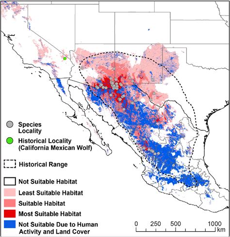 Mexican Grey Wolf Map
