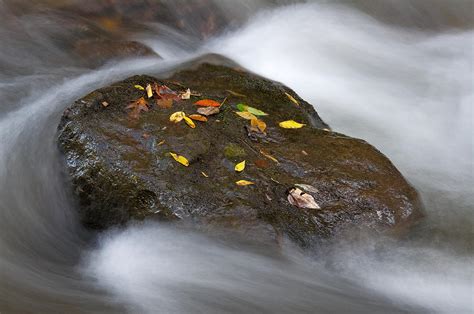 Rock In Water Photograph By Itai Minovitz Pixels
