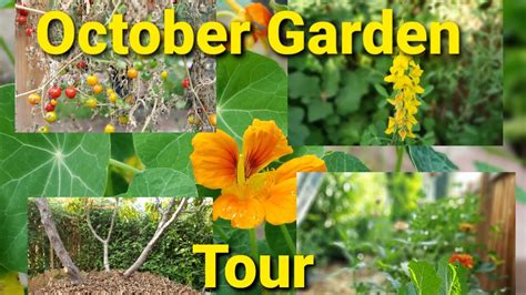 October Garden Tour Youtube