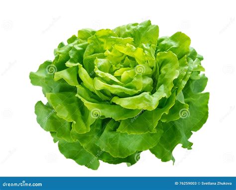 Green Salad With Veal And Vagatables Safety Delivery With Mask And