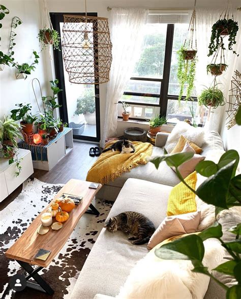 10 Most Beautiful Indoor Plants That Are Easy To Take Care Decoholic