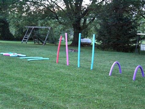 Homemade obstacles for fun & training! 10 Amazing Uses for Swim Noodles - Neatorama