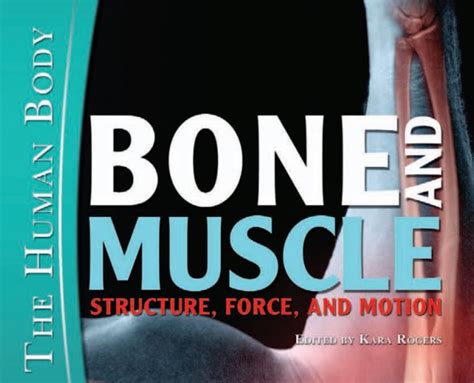 Create your own training program in the notes; Bone and Muscle: Structure, Force, and Motion (The Human ...