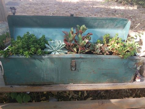 Old Tool Box From A Thrift Store Turned Into A Succulent Planter Box