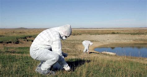 La comisión concluyó que el h10n3 es una cepa poco patógena del virus de las aves de corral que no tiene la capacidad de infectar eficazmente a los seres humanos. ¿Qué es la gripe aviar? ¿Estamos ante una posible nueva ...