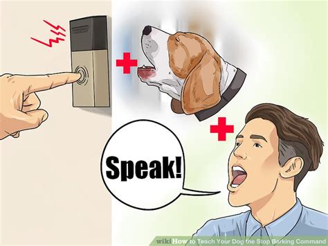 How to stop a dog from barking. How to Teach Your Dog the Stop Barking Command: 12 Steps