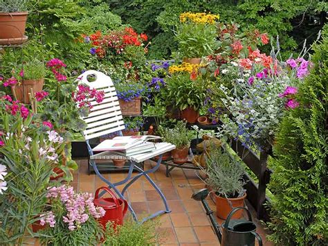 Gardening Ideas For Balconies Patios And Courtyards Saga