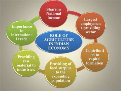 Role Of Agriculture In Indian Economy