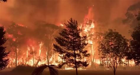Niveles de riesgo de incendios forestales generados automáticamente a partir de datos meteorológicos y de modelos numéricos de. Los incendios en Australia son graves, pero ¿sabes por qué? - Sputnik Mundo