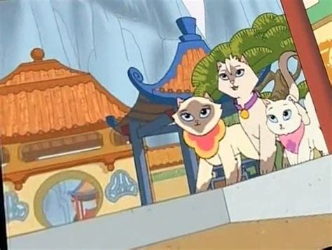 Sagwa The Chinese Siamese Cat Sagwa The Chinese Siamese Cat E013