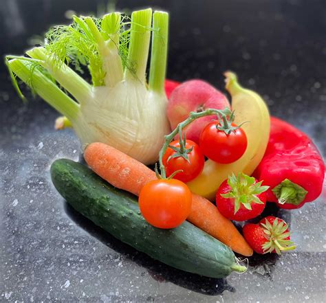 Gemüse Salat Und Obst Für Hunde Selber Kochen
