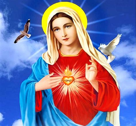 sacred heart of mary christ jesus virgin peace religion mary mother hd wallpaper peakpx