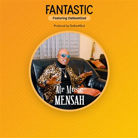 fantastic single by mr music mensah spotify