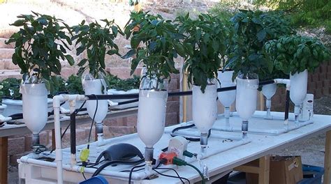 Many cannabis growers prefer the hydroponic growing system because of its convenience and cleanness compared to soil based growing methods. DIY Hydroponic: Grow Plants In Your Garden With This ...