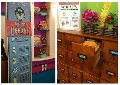 Why So Many Public Libraries Are Now Giving Out Seeds Library Seed