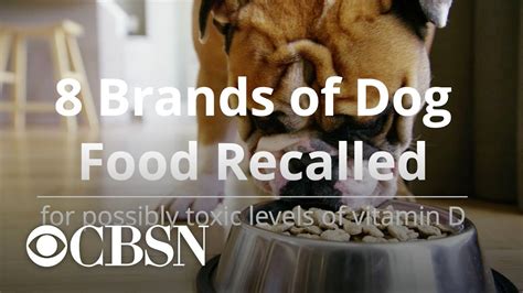 The recall was initiated after the company discovered the possible contamination during a routine sampling program. 8 brands of dog food recalled - YouTube