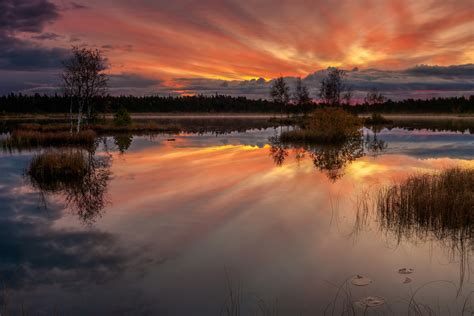 Lake Laanemaa At Orkjärve Nature Reserve Estonia Ogq Backgrounds Hd
