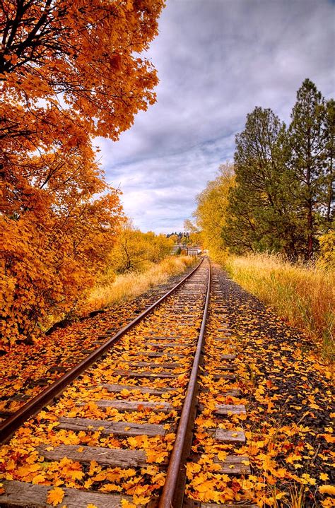 Autumn Color On The Railroad Tracks Located In Downtown Pullman