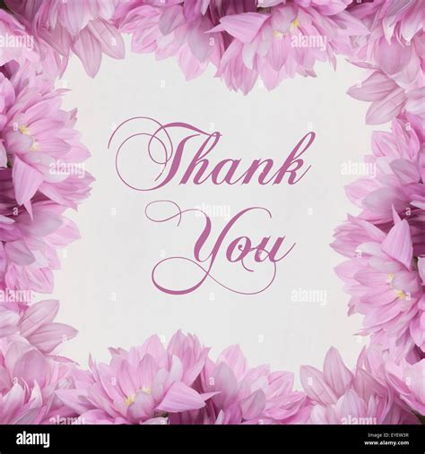 Thank You Flowers And Beautiful Handwriting Greeting Card Stock Photo