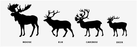 The Silhouettes Of Deer And Moose Are Shown