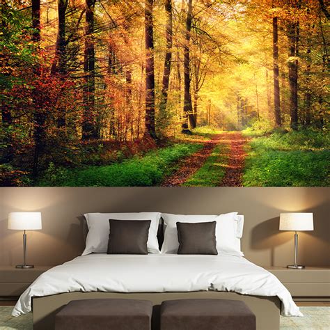 Sunlight Autumn Forest Path Wall Mural Woods Trees Photo