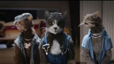 Meow Mix Tv Spot Wet Your Whiskers Featuring Jc Chasez Ispot Tv