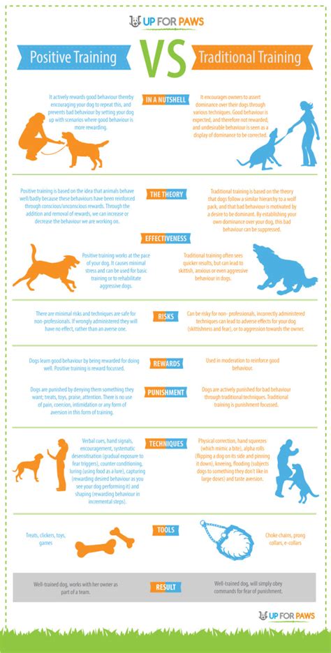 Positive Dog Training Vs Traditional Dog Training Up For Paws