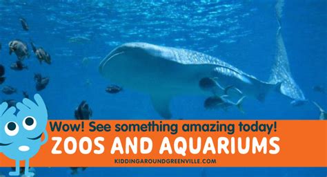 10 Zoos And Aquariums You May Not Know Near Greenville Sc